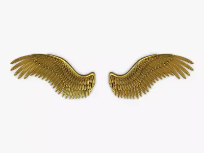 Eagle Wings Gold v 2 3D model