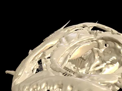 Fish Skeleton SALMON BONES Low-poly 3D model