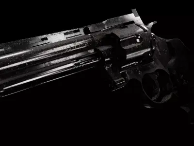 Revolver Anaconda - Western Gun 3D model