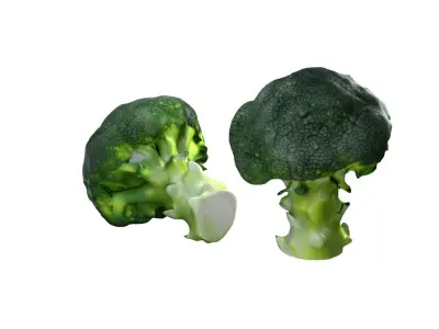 Broccoli scan Free low-poly 3D model