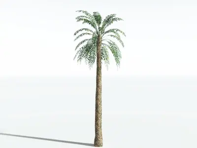 EVERYPlant Date Palm LowPoly 3 --16 Models-- Low-poly 3D model