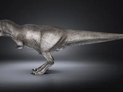Tyranosaurus Rex 3D model
