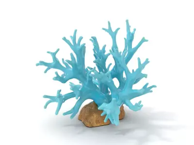 Turquoise Coral model pack Low-poly 3D model