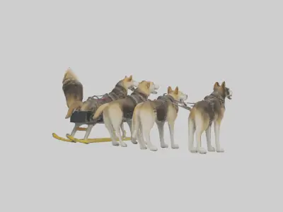 Chinook Dog sledding model Low-poly 3D model