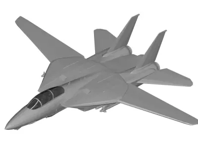 Grumman F-14 Tomcat 3D model