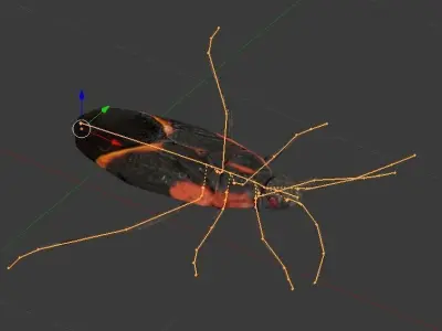 Box Elder Bug Low-poly 3D model