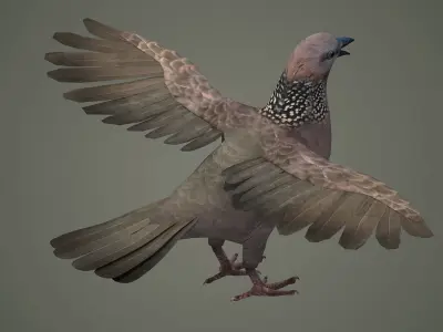 sparrow falcon eagle jay stork pelican swan 3D model