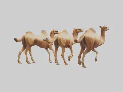 Camels galloping model Low-poly 3D model