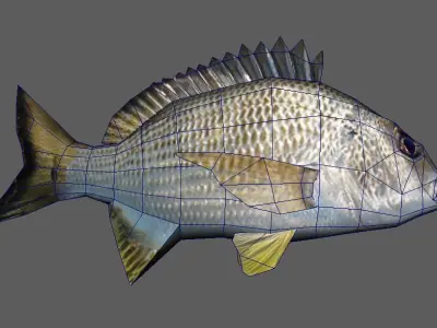 Bream Fish Lowpoly 3D Gaming model Low-poly 3D model