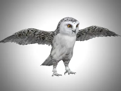  Snowy White Owl Low-poly 3D model