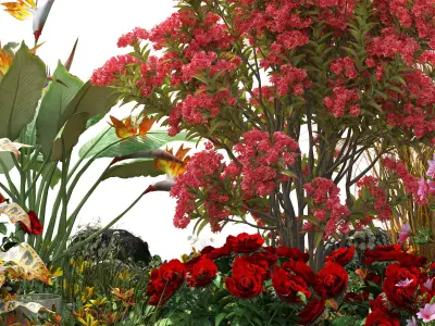 Spring Flower Collection Low-poly 3D model