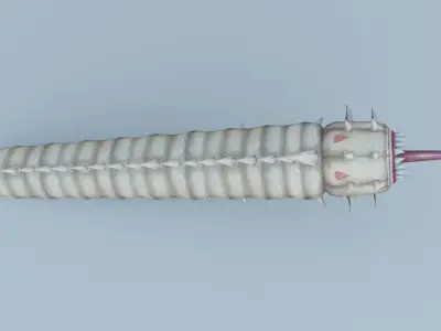 Monster insect worm boss shachong 3D model