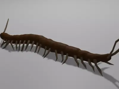 Centipede Obj plus Blender 3D model