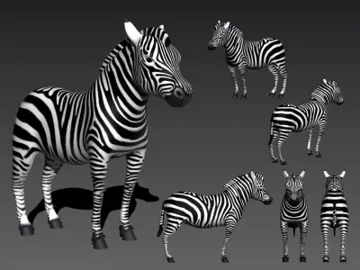 Zebra Zebre  Low-poly 3D model