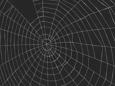 Spider Webs Collection 3D model