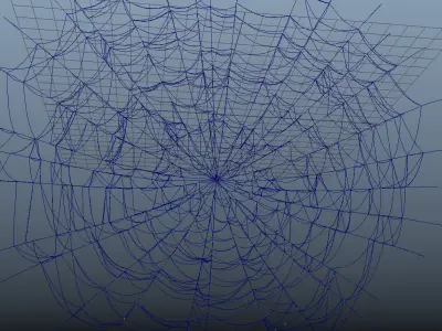 Spiderweb spider web 3D model