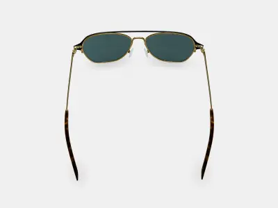 Corson Sunglasses in Jet Black with Polished Gold 3D model