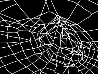 Spider Web 3D model