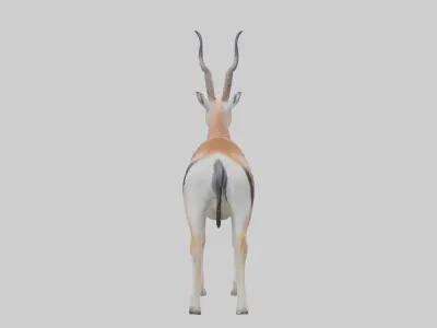 Spakes gazelle Low-poly 3D model