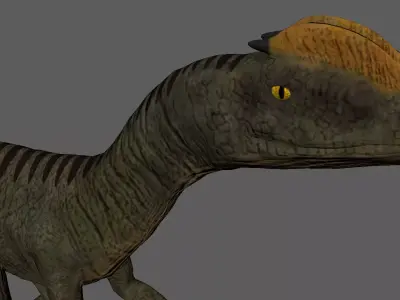 Velociraptor Low-poly 3D model dinosaur Low-poly 3D model