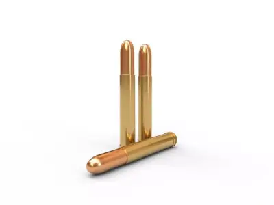458 Lott Ammo Low-poly 3D model