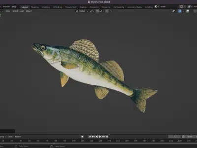 Perch Fish Low-poly 3D model