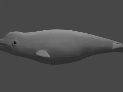 BELUGA WHALE  Low-poly 3D model