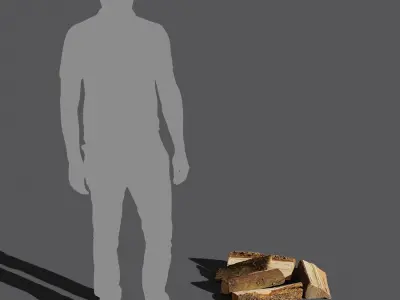  Split Conifer Firewood Models Collection 