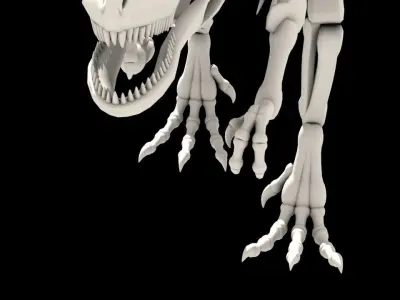 Dinosaurus skeleton Low-poly 3D model