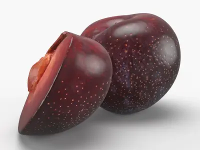 Plum 02 3D model