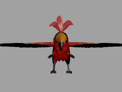 Toucan 3D model
