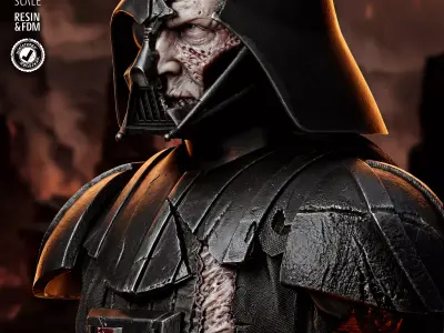  STAR WARS Darth Vader Batlle Damage Portrait Bust  3D print model