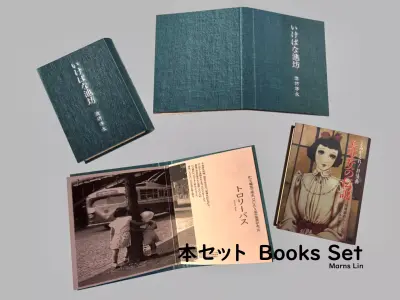 2-type of Books Set Free low-poly 3D model