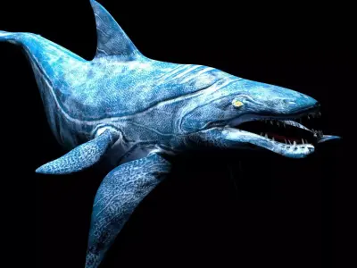 sea monster lowpoly rigged game ready  Low-poly 3D model