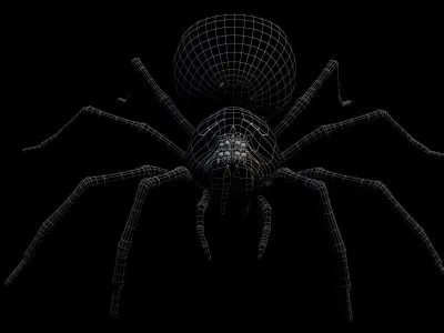 Black Spider 3D model