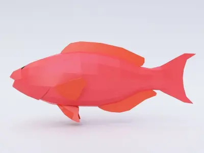 Red drum fish low poly 3d model  Low-poly 3D model