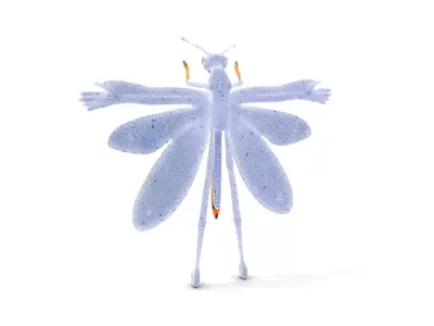 Iridescent Dragonfly model pack Low-poly 3D model