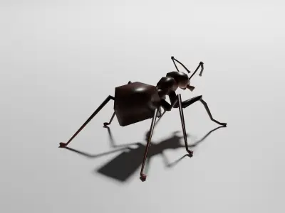 Insects Pack - Low Poly 3D model