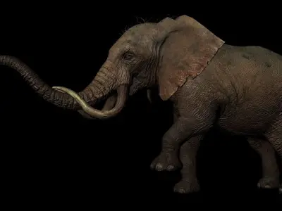 Rigged ELEPHANT Low-poly 3D model