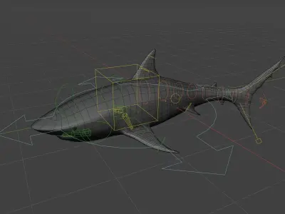Realistic Great White Shark - Game Ready Rigged and Animated Low-poly 3D model