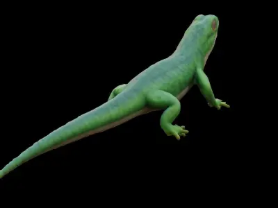 Lizard Low-poly 3D model