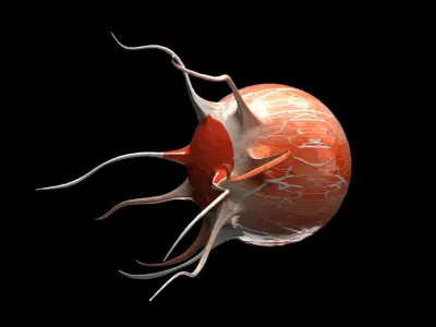 Eye 3D Model 3D model