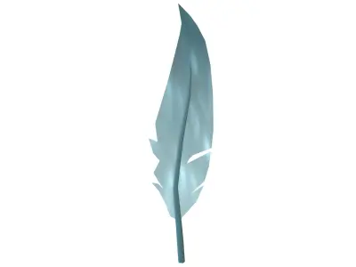 Feathers v1 002 Low-poly 3D model