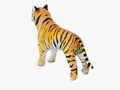 Tiger Free 3D model