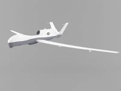 Northrop Grumman MQ-4C Triton Low-poly 3D model