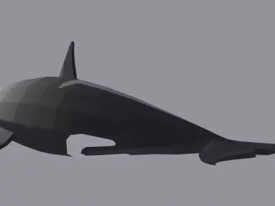 Orcinus Orca or Killer Whale Low Poly Free low-poly 3D model