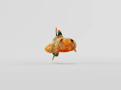 Candy Darter Fish Low-poly 3D model