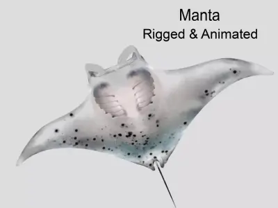Manta Low-poly 3D model