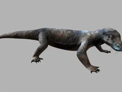 komodo dragon varanus australia animal 3D model