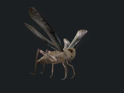 Animated Locust Grasshopper Low-poly 3D model